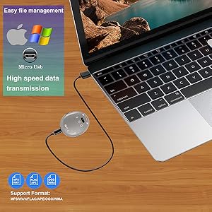 file transfer voice recorder