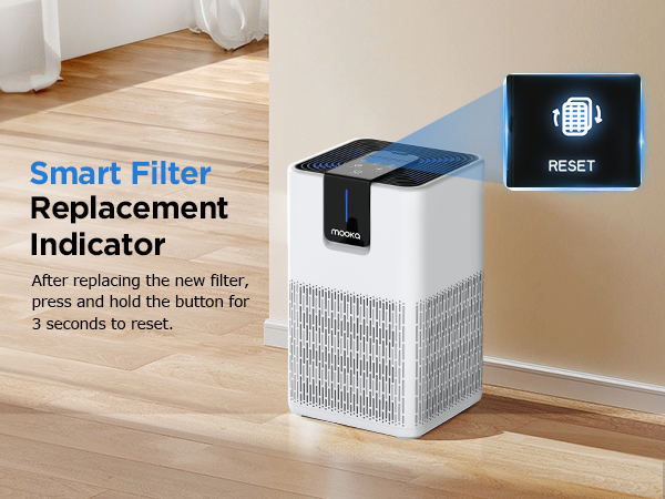 mooka air filter replacement