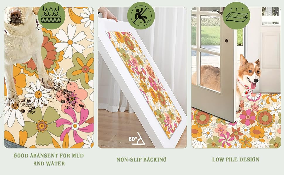 Doormat Indoor Front Mats