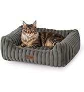 ZOMISIA Large Cat Beds - Orthopedic Dog Bed for Medium Dogs, Rectangle Pet Bed with Fluffy Remova...