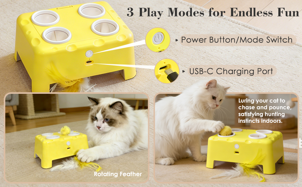 Cheese Box Interactive Cat Toy