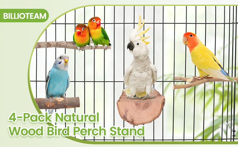 bird perch
