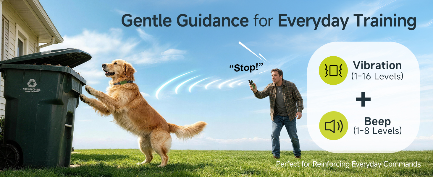 dog training collar with remote