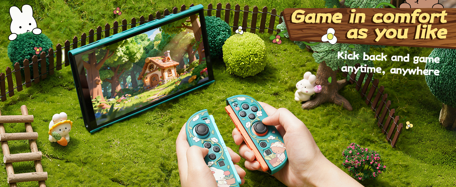 Switch 2 Protective Case