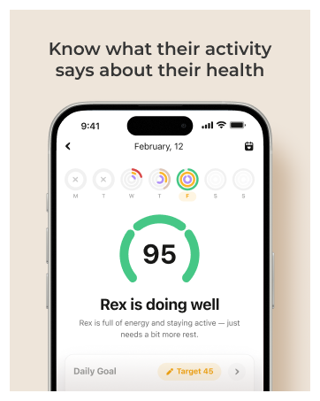Petcube GPS Tracker 2025