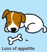 electric teeth cleaner