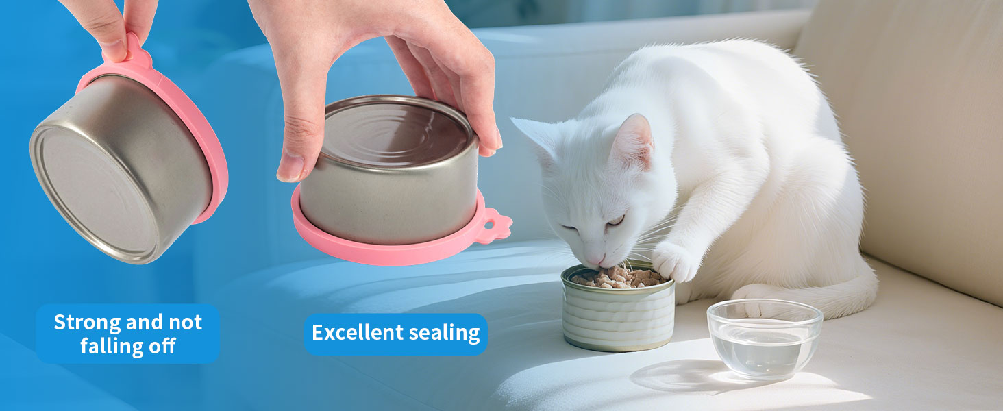 cat lids