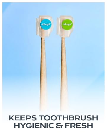 adults plastic flossing brush bristles flosser de dientes palillos toothpick