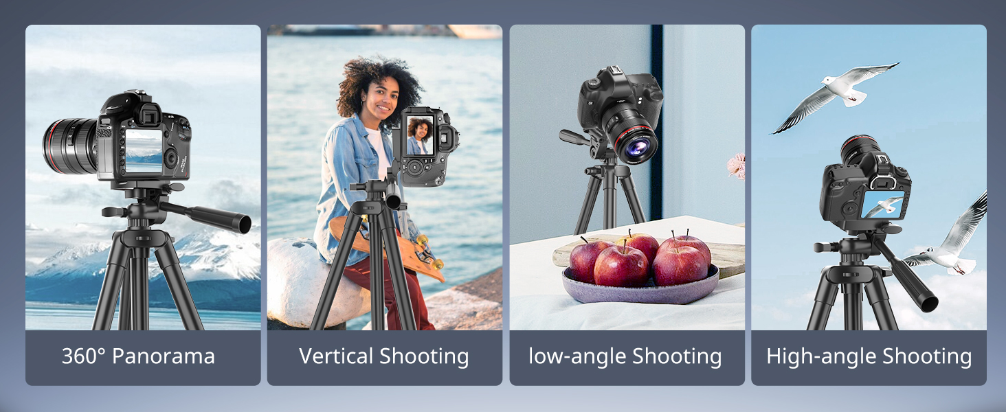 ring light with stand