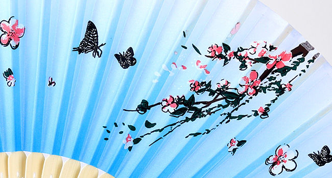 Handheld Folding Fans