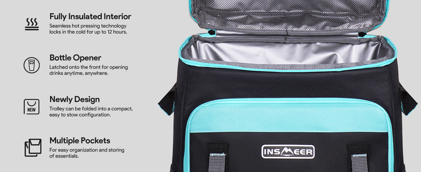insulated cooler bag
