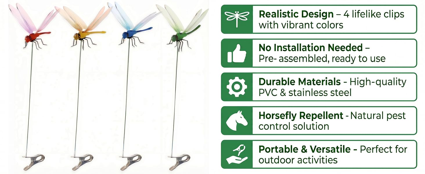 Realistic Dragonfly Clips
