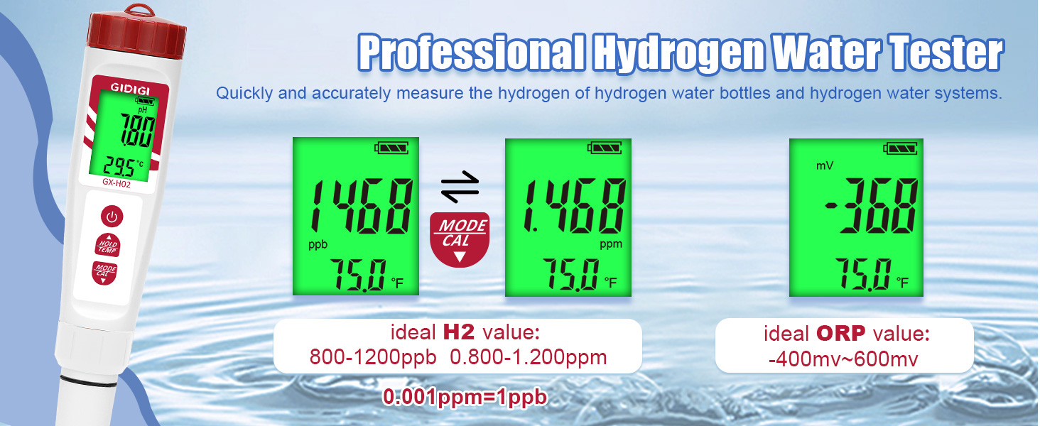 hydrogen tester ppb