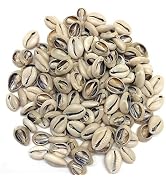 100 Pcs White and Lvory Natural Cowrie Shells Beads Oval Beach Seashells African for Hair Jewelry...