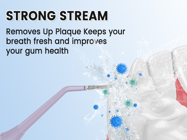 water flosser