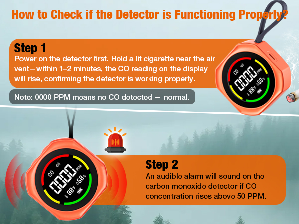 Portable Carbon Monoxide Detectors