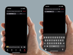 bluetooth page turner