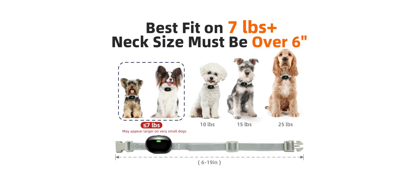 shock collar for dogs bark collar for small dogs shock collar for small dogs small dog collar