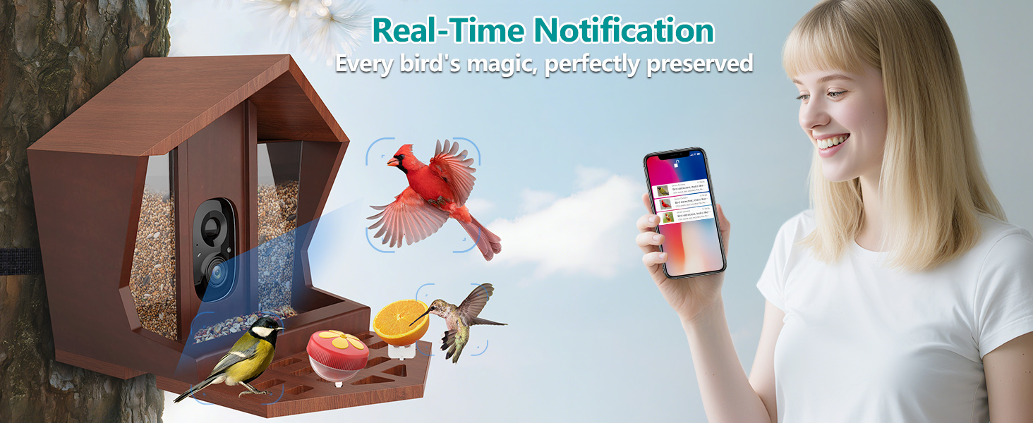smart bird feeder with camera solar powered power wood wifi ai video live outdoor outside