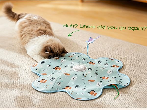 Pet toy