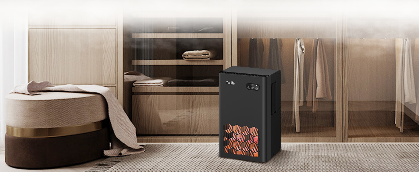 dehumidifier for closet