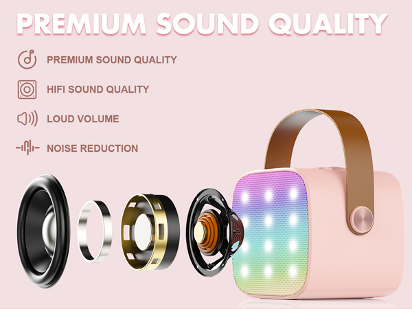 Mini Karaoke Machine Premium Sound Quality
