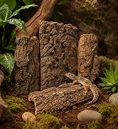 4Pcs Reptile Tree Bark Reptile Hides