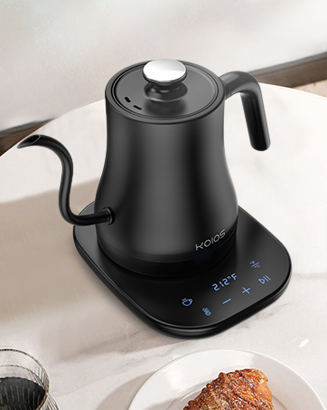 temperature control kettle