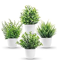 https://m.media-amazon.com/images/S/aplus-media-library-service-media/46a83b35-4c38-4f9d-8658-0ae97107a98c.__CR0,0,800,900_PT0_SX200_V1___.jpg