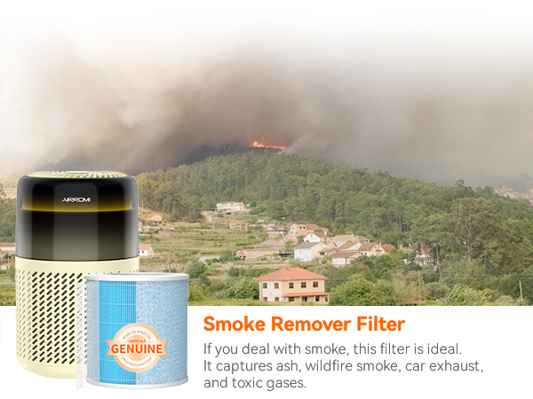 pet air purifiers for home