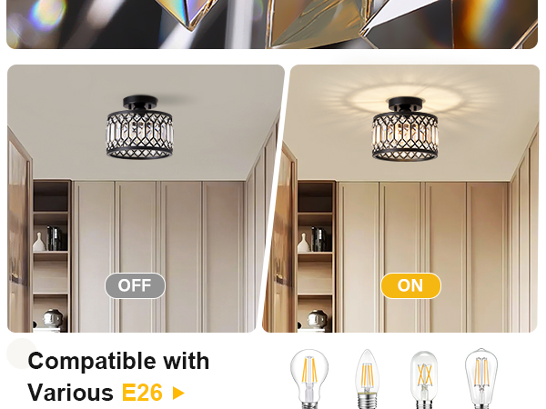 Crystal Black Ceiling Light