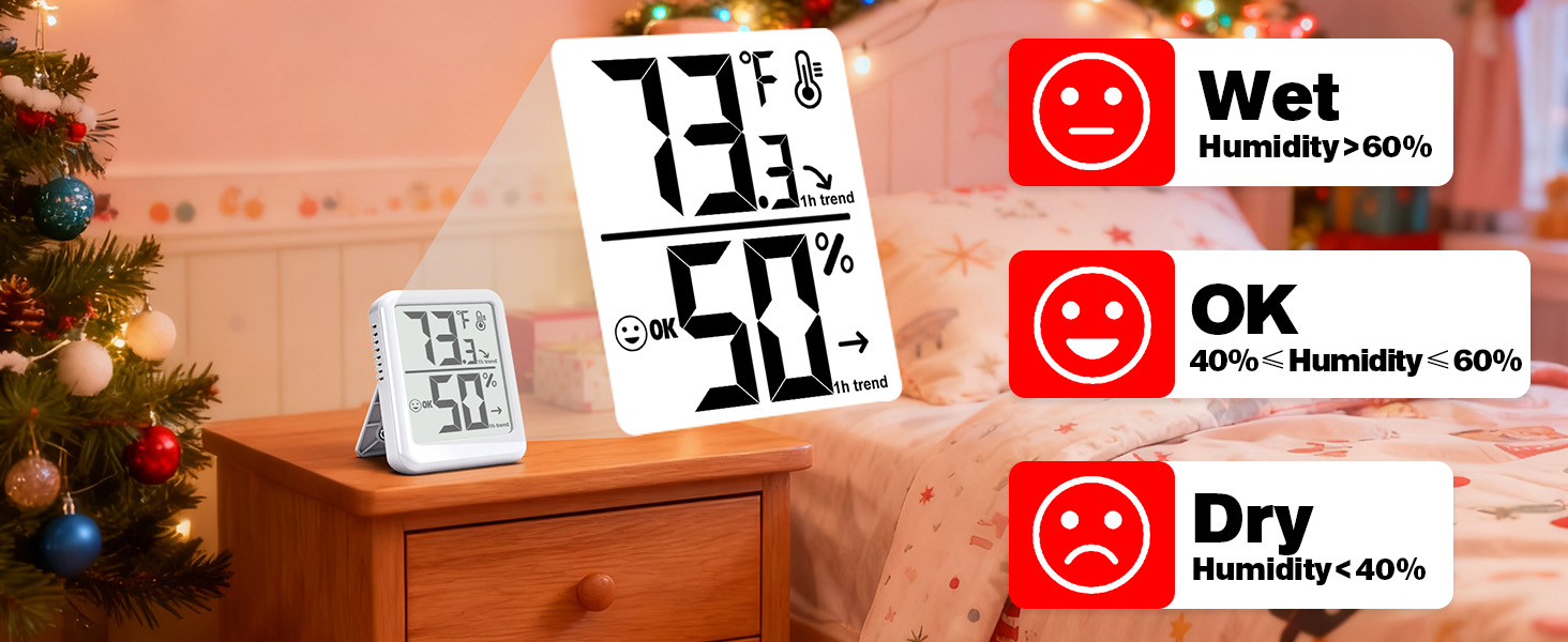 Digital Thermometer