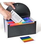 Cesil Accordion File Organizer, 13 Pocket Expanding File Folder, 10.2