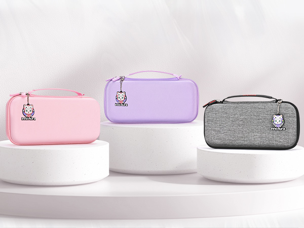 switch 2 case gray