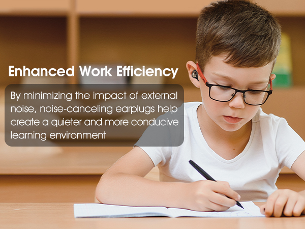 Vosaf Noise Cancelling Ear Plugs