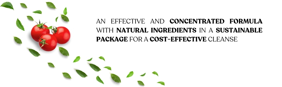 veggie wash, vegetable wash, desinfectante de frutas y verduras, fruit washer, fruit and veggie wash