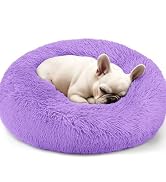 dog bed
