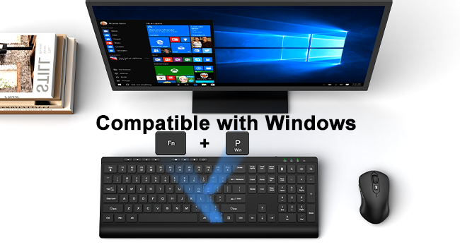 Compatible with Windows System