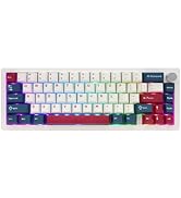 FKZ GMK67 Mechanical Keyboard,65% Mini Hot Swappable Custom Keyboard Gasket Tri-Mode Wireless BT5...