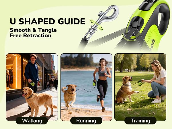 dog leash