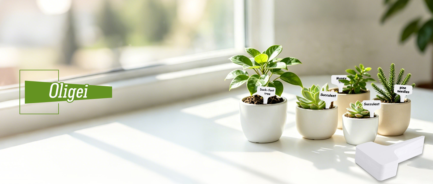 Oligei Plant Labels 120 PCS