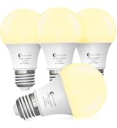 evelor A19 LED Light Bulbs,60 Watt Equivalent Soft White 2700K with E26 Base,Efficient 9W,800 Lum...