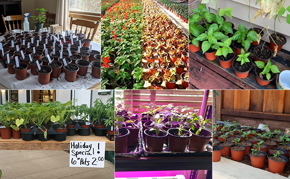 4" Plastic Plants Nursery Pots