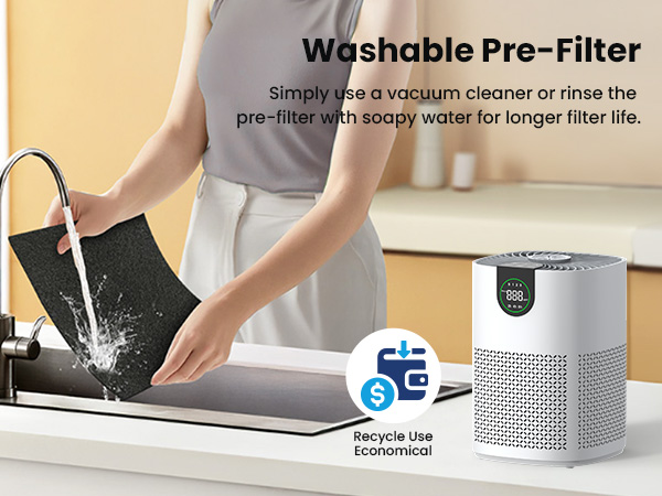 Air purifier with washable filter