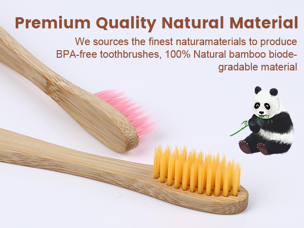 Bamboo Toothbrushes