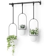 Umbra Triflora Hanging Planter, Indoor Herb Garden, Set of 3, White/Black | Extendable metal rod,...