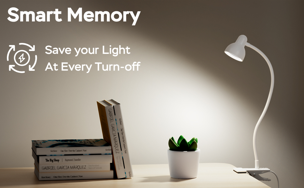 Clip on Lamp USB Reading Light
