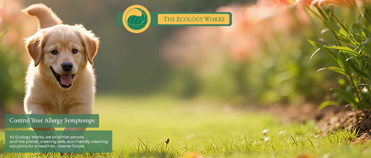 the ecology works