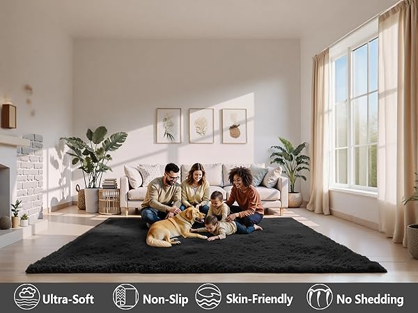 Area Rugs