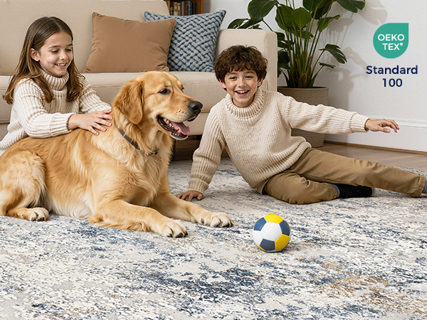 living room rug